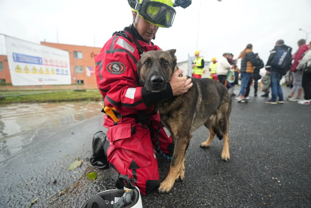 Nevolejte nám kvůli adopcím, prosí zaplavené zvířecí útulky. Chybí jim ruce, desinfekce a krmivo