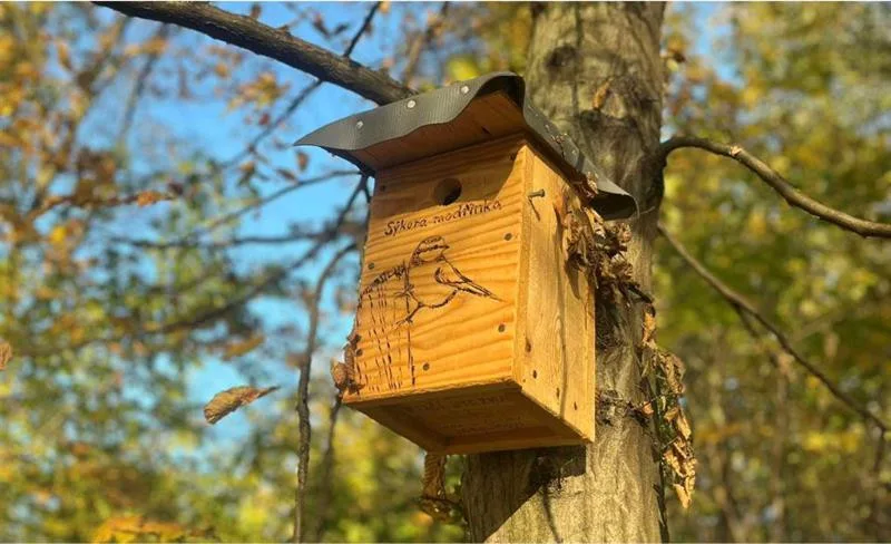 Třinec má novou ptačí stezku. Nabídne celoroční zázemí a potravu ptačím koloniím