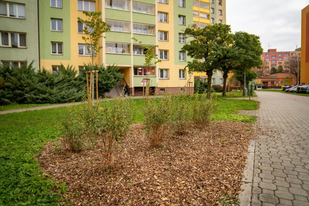 Během podzimu přibude ve Frýdku-Místku přes 700 dřevin. Chybět nebudou okrasné keře ani jabloňová alej