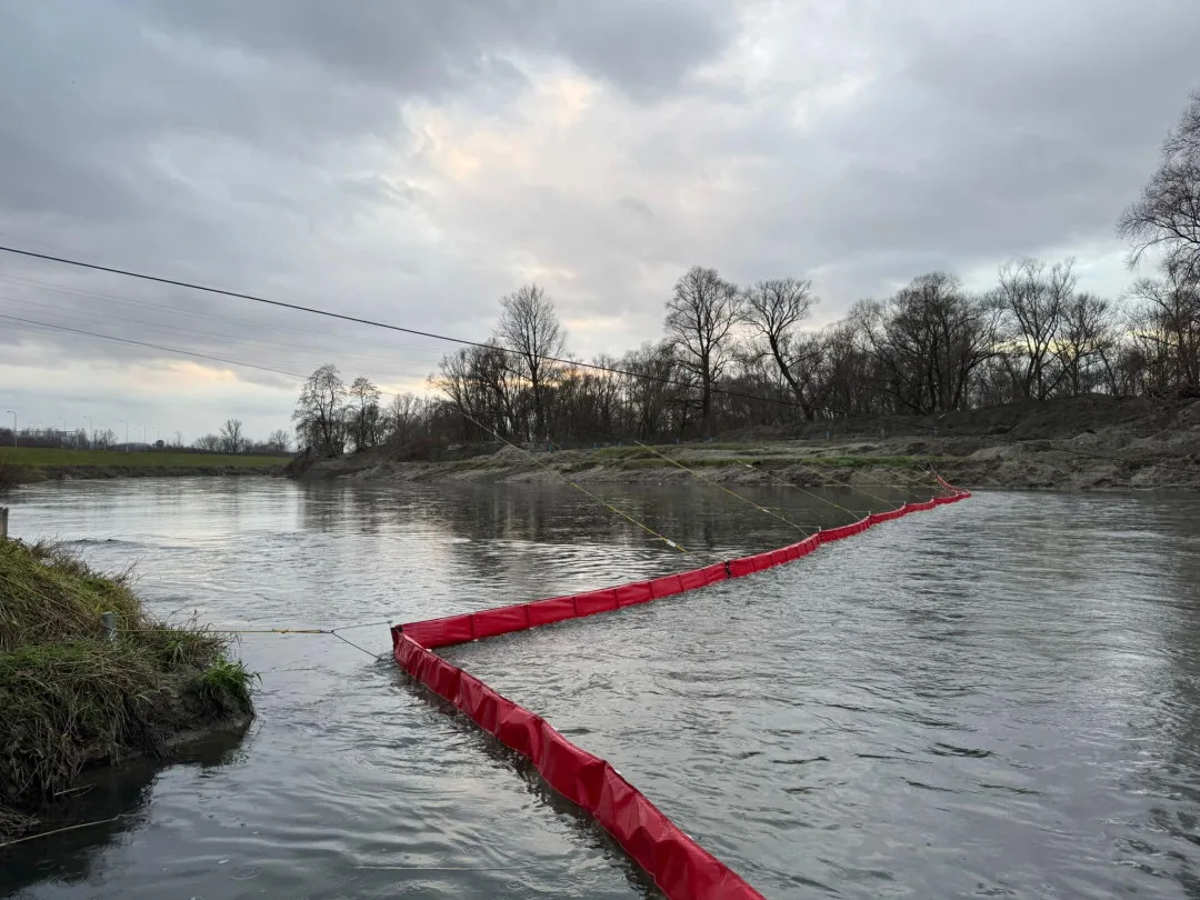 V ostravské Odře plave mnoho mrtvých ryb. Hasiči momentálně zjišťují rozsah a příčinu úhynu