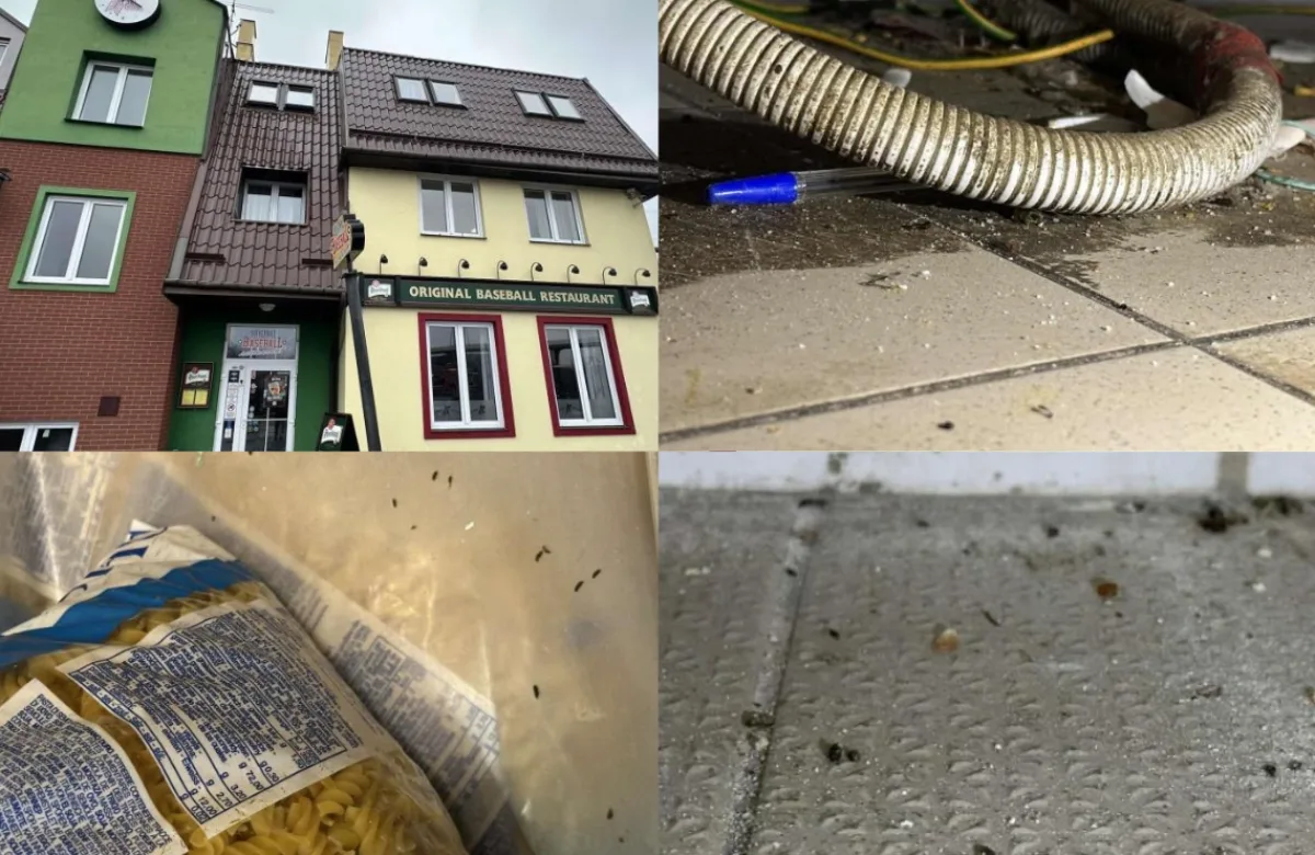 Máte hlad? Hygienici zavřeli restauraci Arrows v Ostravě, měla kuchyň plnou myšího trusu a jiných škůdců