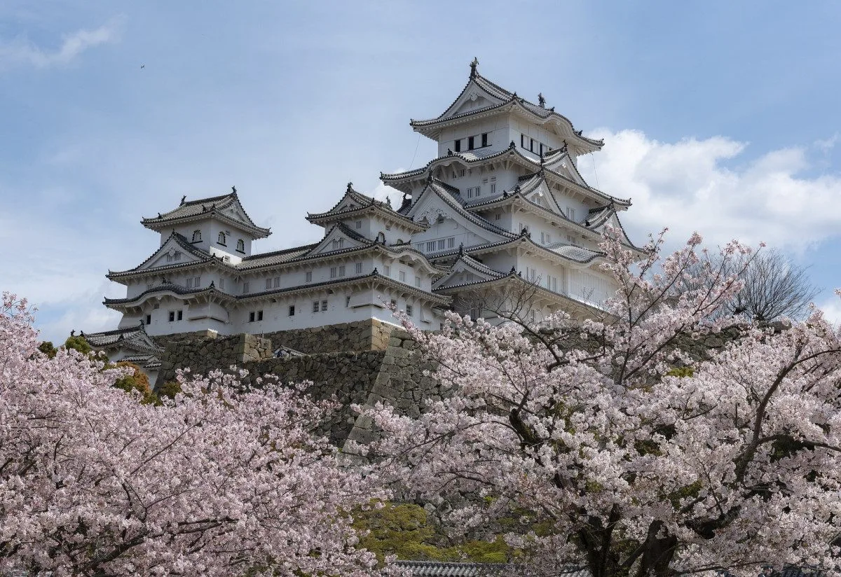 Osmiletý chlapec z Nového Jičína vyhrál celosvětovou výtvarnou soutěž v Japonsku