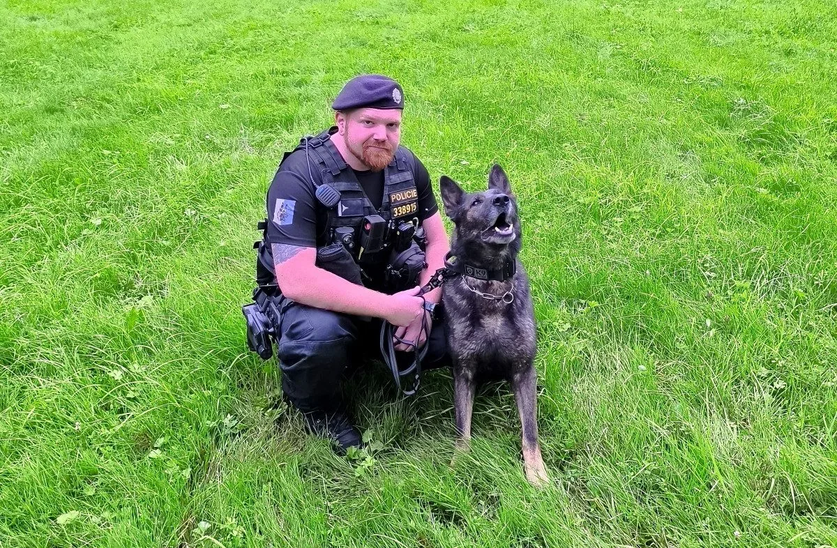 Pes Rey v Orlové pomohl objasnit vloupání. Policisty dovedl až k lupičům