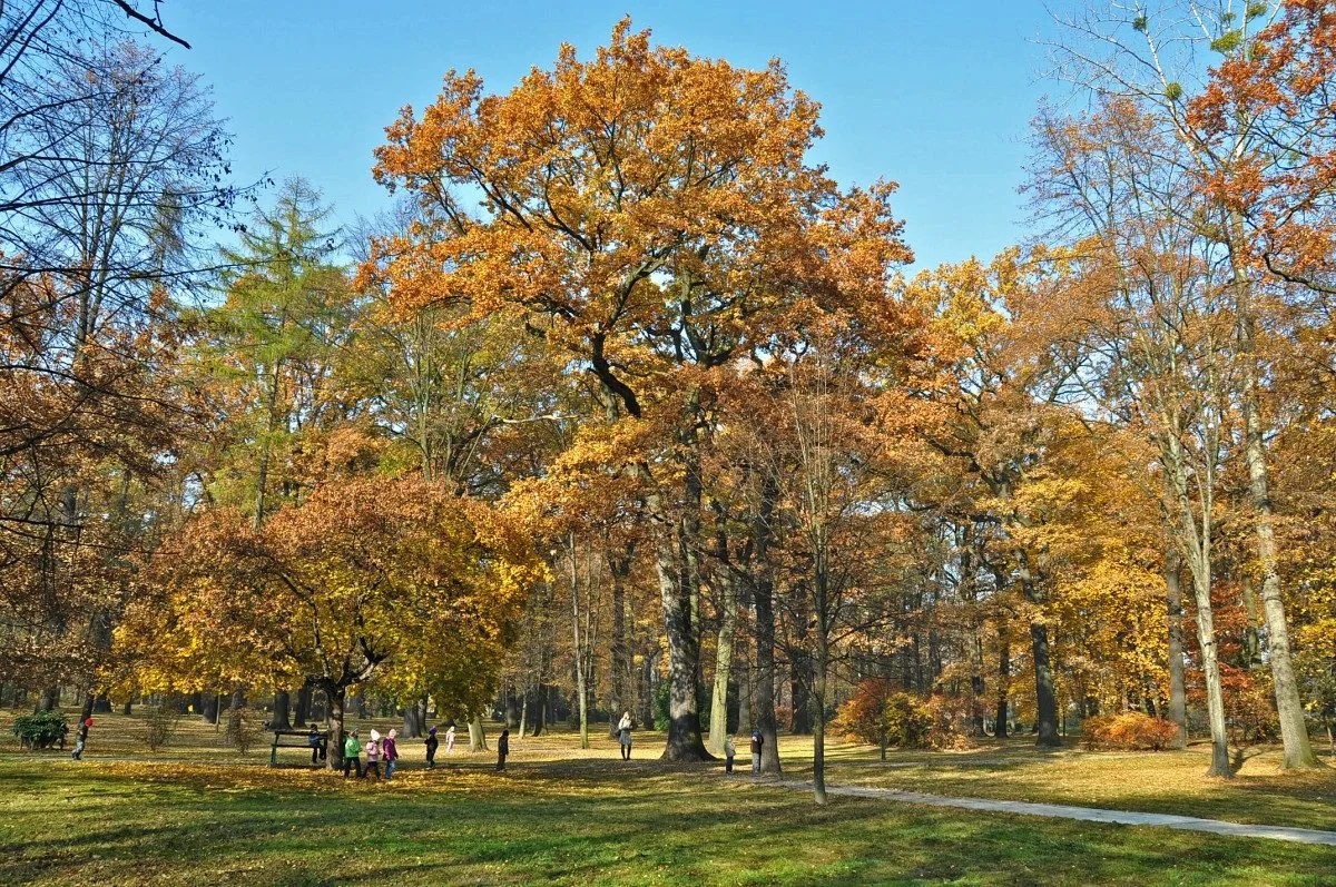 Park Petra Bezruče v Bohumíně čeká regenerace za téměř osm milionů. Foto: Se svolením města Bohumín