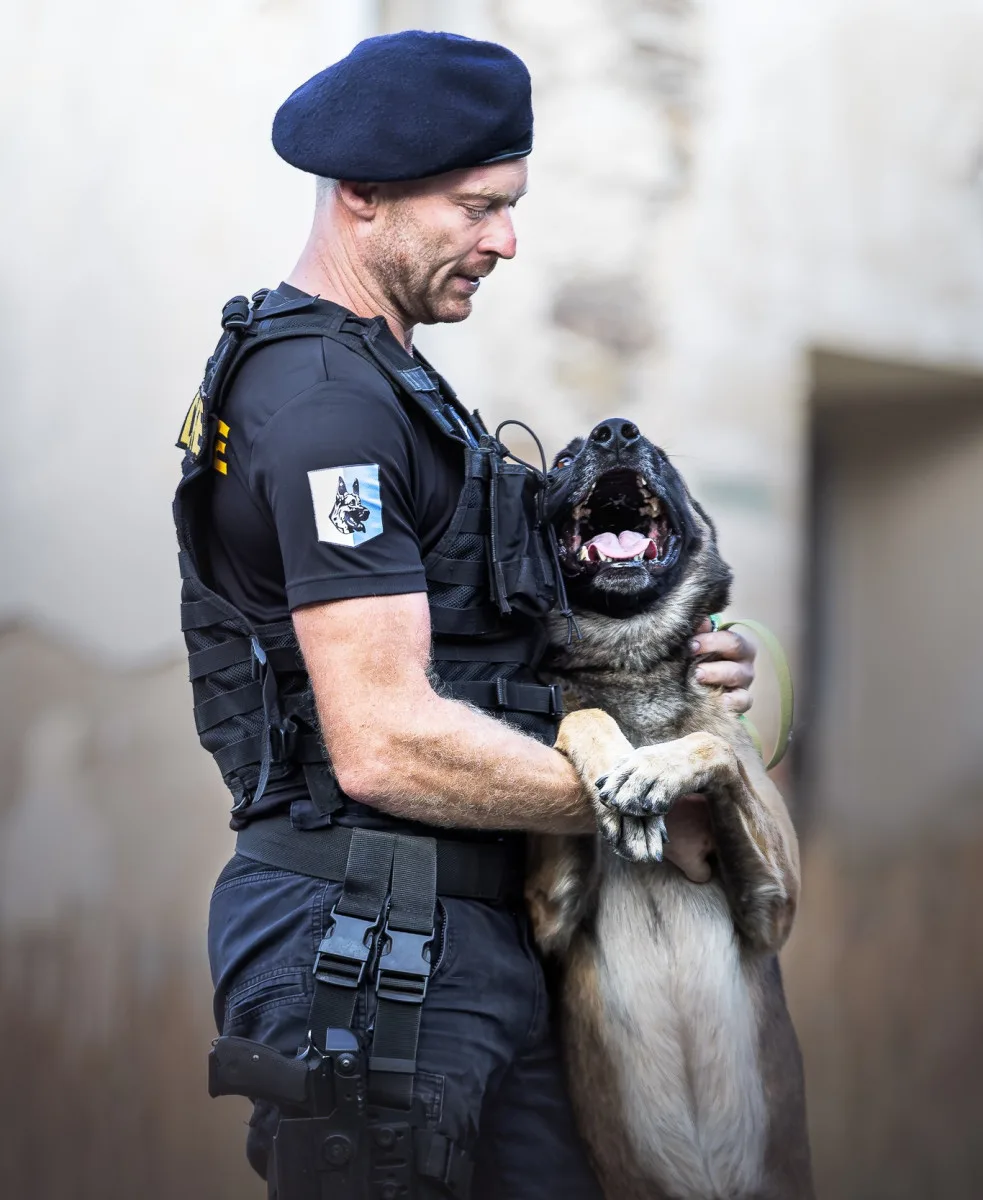 Policejní hrdinové: psi Dronko, Daphne a Ragnar v srpnu zasahovali u 4 případů