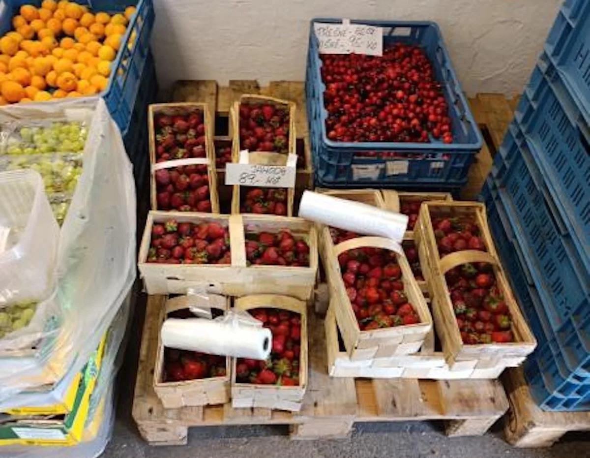 Polské jahody byly plné pesticidů. Limit překročily jedenáctkrát.