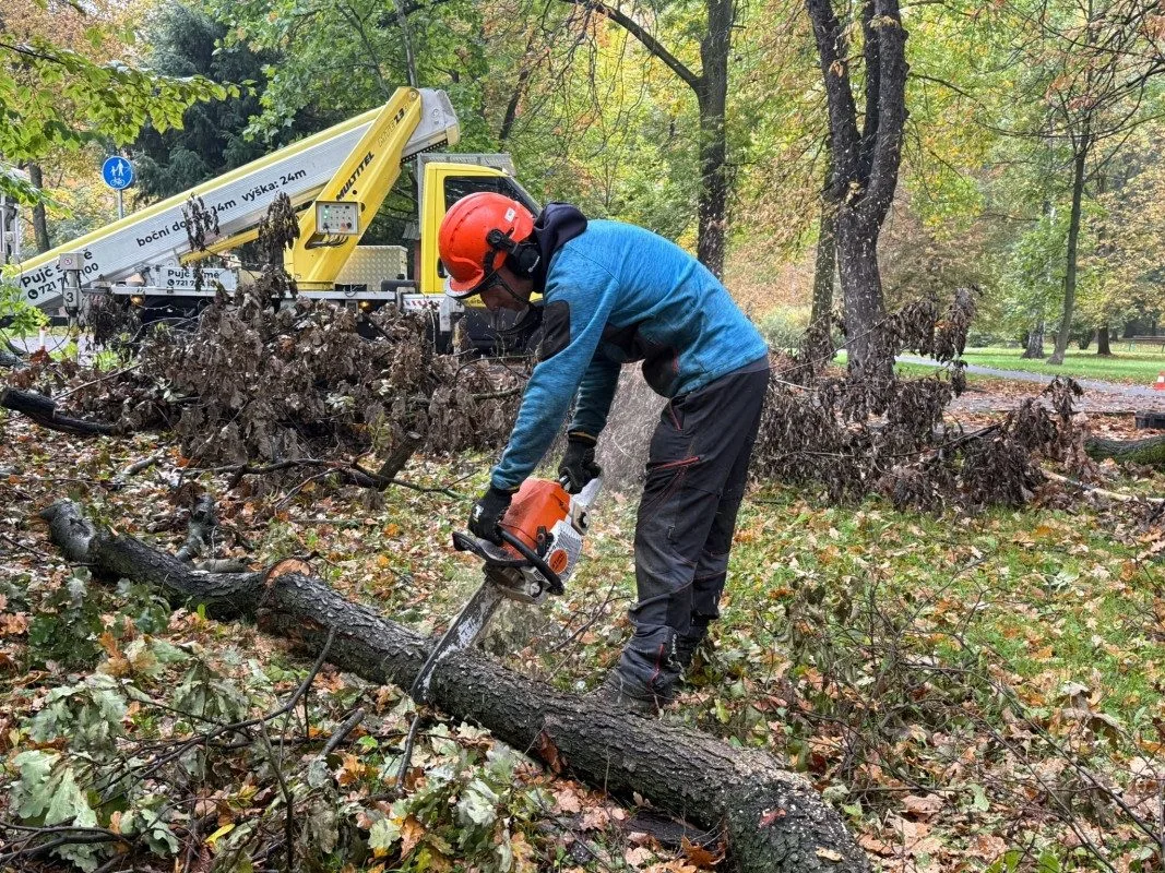 V Bohumíně kácí stromy, úprava stoletého parku Petra Bezruče je v nejhlučnější fázi