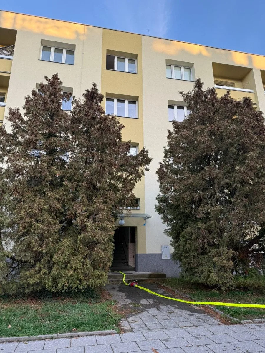 Hasiči z hořícího bytu zachraňovali 3 lidi, 2 psy a 4 kočky. Evakuovali také 20 osob