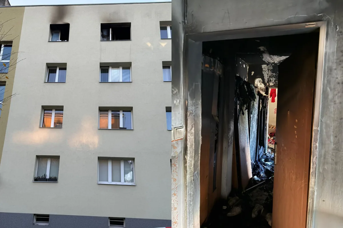 Hasiči z hořícího bytu zachraňovali 3 lidi, 2 psy a 4 kočky. Evakuovali také 20 osob