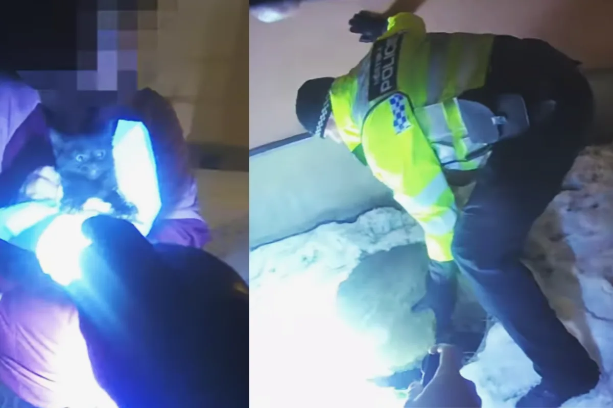 VIDEO: Mňoukání přivolalo pomoc. Ostravští strážníci zachraňovali kotě z kanálu
