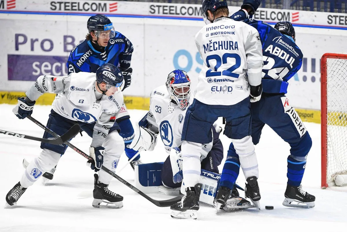 Ilustrační foto. Foto: Poskytla HC Škoda Plzeň