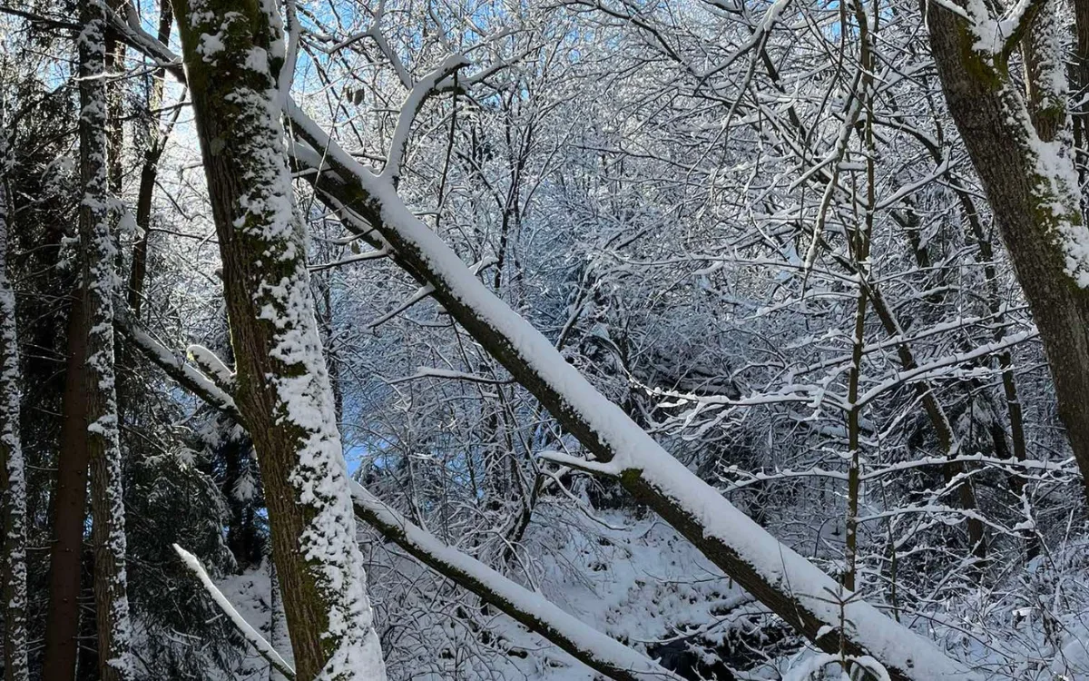 V Beskydech se lyžuje jen v Bílé, po Štědrém dni se rozjede Mezivodí