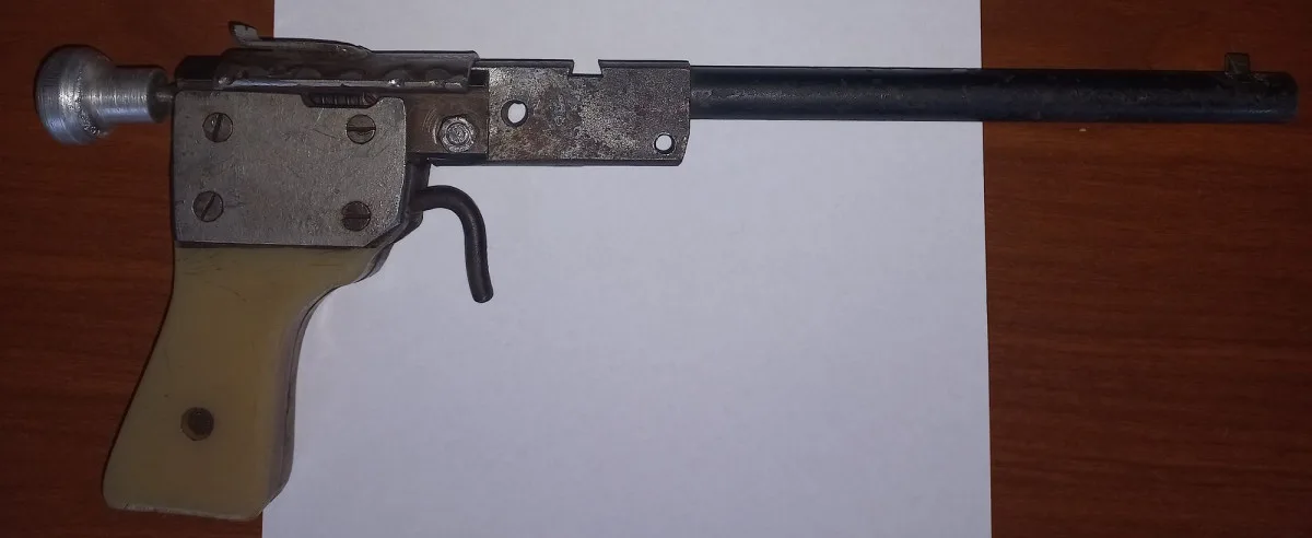 Perkusní revolver, jednoranová puška. V Moravskoslezském kraji začala zbraňové amnestie