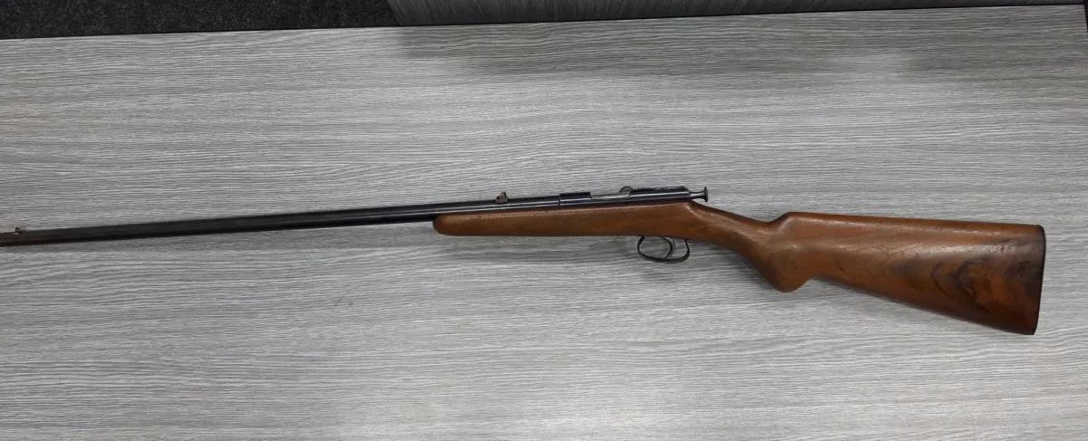 Perkusní revolver, jednoranová puška. V Moravskoslezském kraji začala zbraňové amnestie