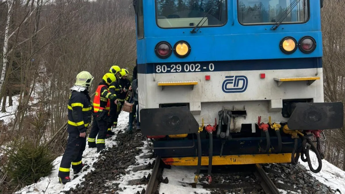 Na Bruntálsku osobní vlak srazil koně. Z cestujících se nikdo nezranil, zvíře nepřežilo