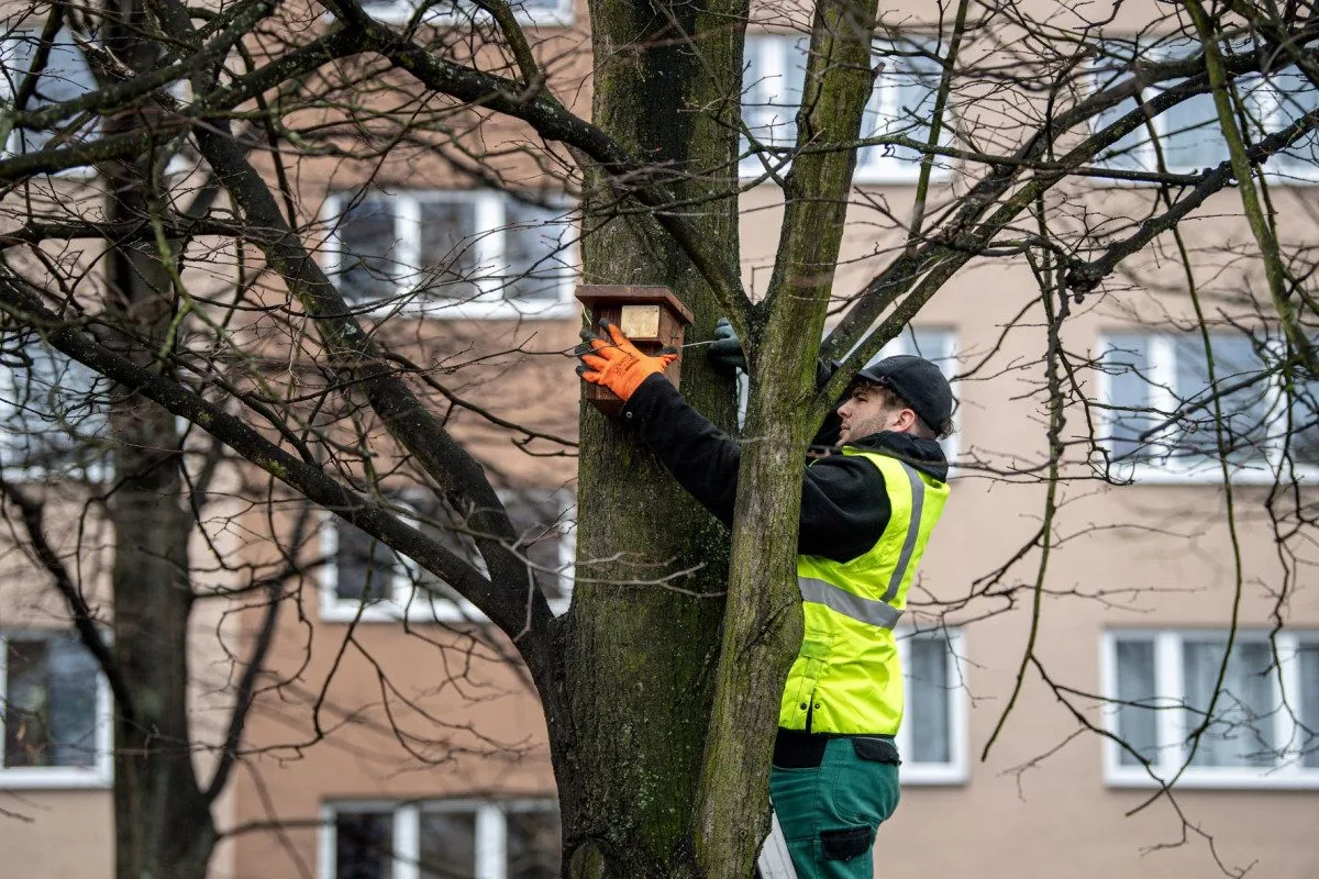 Ptačí budky v Ostravě slaví rekordní úspěch, oblíbily si je hlavně sýkorky