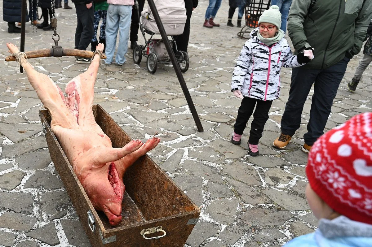 FOTO: Masopust na hradě. Nechyběla ani nefalšovaná zabíjačka
