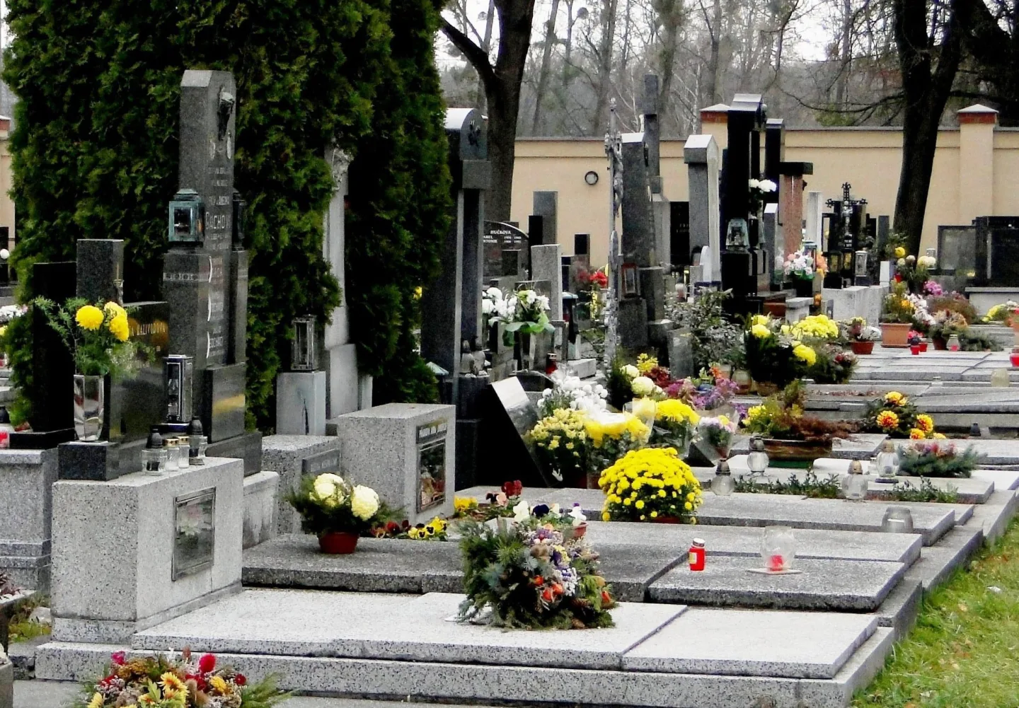 Frýdecký hřbitov čeká proměna. Staré túje nahradí nové keře a stromy