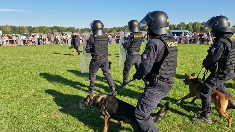Vyčmuchají drogy i zloděje. Policejní psi se svými psovody měli loni přes 1700 zásahů