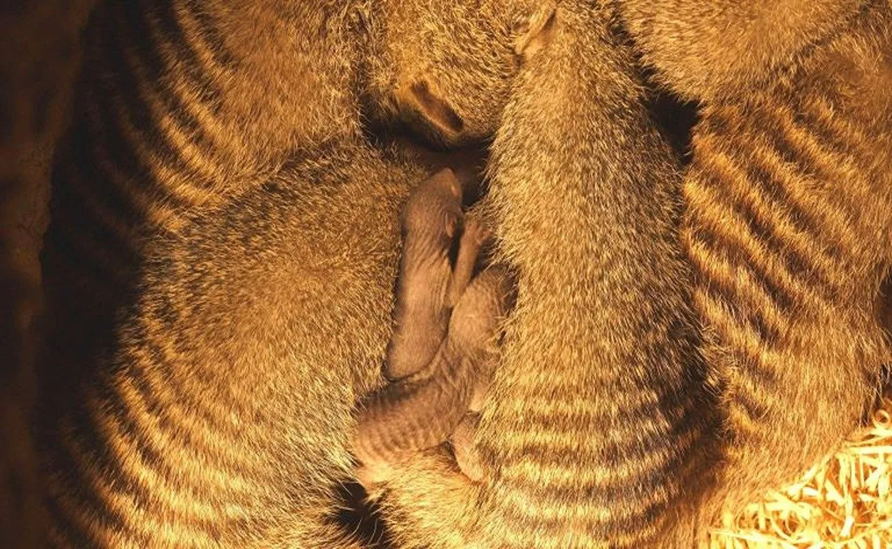 Ilustrační fotografie