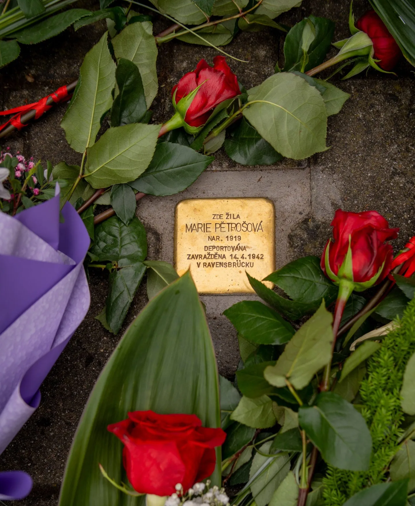 Gestapo ji odvedlo deset dní po porodu. Ve Frýdku-Místku přibyly kameny zmizelých
