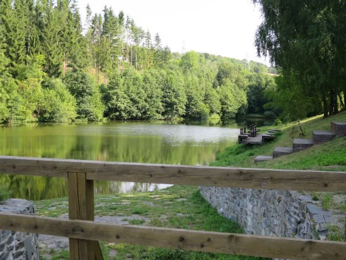 V rybníku Tvrdkov jsou sinice. Koupání může způsobit problémy