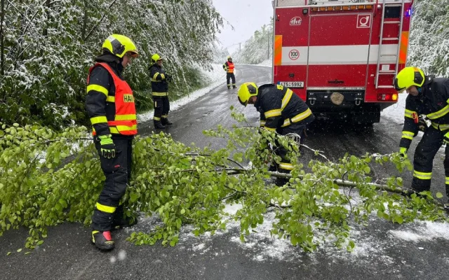 Sníh lámal stromy na Frýdecko-Místecku. Hasiči řešili desítky událostí