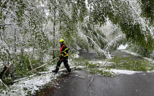 Sníh lámal stromy na Frýdecko-Místecku. Hasiči řešili desítky událostí