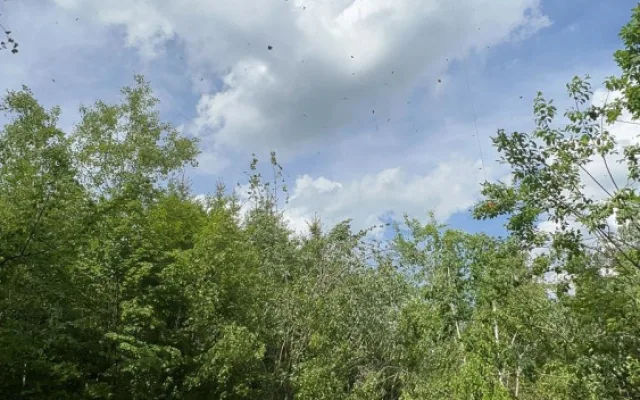 Pro třináctiletého cyklistu letěl vrtulník