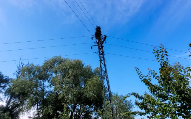 Požár čapího hnízda v Albrechtičkách na Novojičínsku nepřežila čtyři mláďata