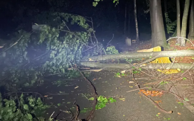 Centrum Ostravy po bouři. Nevydržely ani statné stromy, zoo je uzavřena