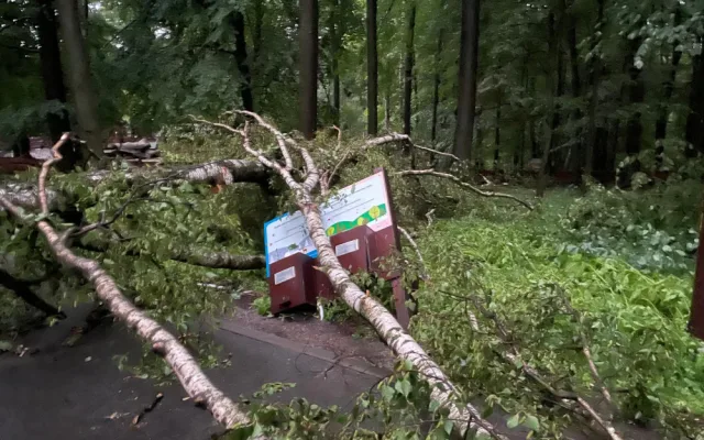 Centrum Ostravy po bouři. Nevydržely ani statné stromy, zoo je uzavřena