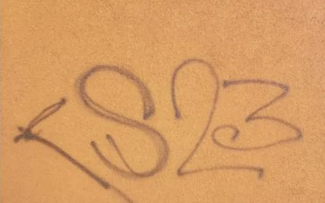 Vandal z Karviné během tří měsíců poničil devět budov. Fasády posprejoval a popsal nesmazatelnými fixy