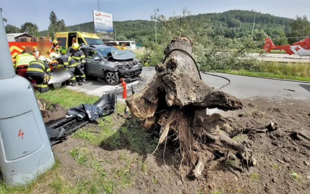 Na projíždějící auto na Bruntálsku spadl strom. Tři lidé se zranili, staršího muže museli záchranáři oživovat