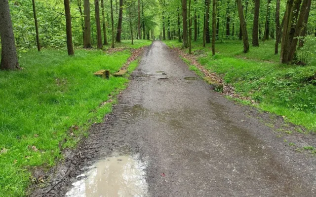 bělský les