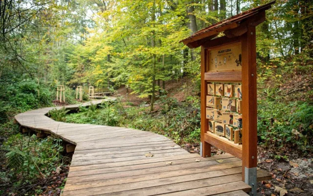 V Ostravě vzniká Park nad rybníkem, naváže na oblíbenou Cestu vody