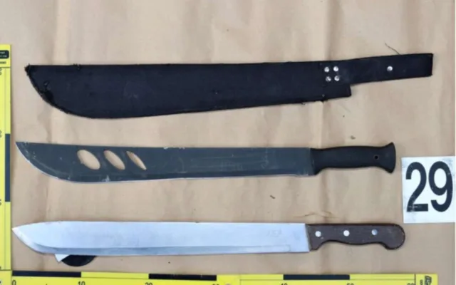 Dvojice cizinců ukradla dodávku přepravní společnosti. Policie oba muže dopadla za několik minut
