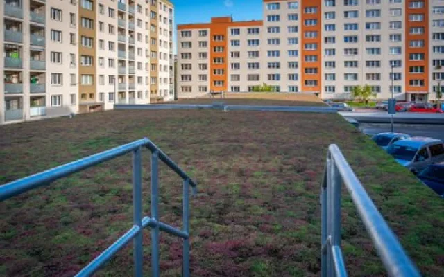 Ostravský Jih hlásí nová parkovací místa, klima v Bělském Lese zlepší zelená střecha