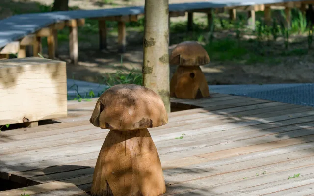 FOTO: Relax v Ostravě i pro děti. Podívejte se na nové místo s mokřady a tůněmi