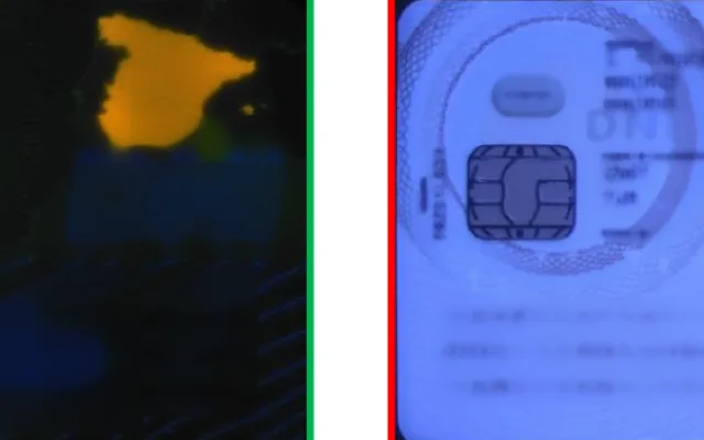VIDEO: Dva cizinci se bez obav prokazovali falešnými doklady. Byli vyhoštěni