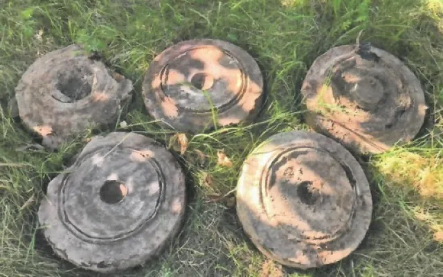 U naučné stezky v Krnově našli pyrotechnici tři desítky kusů munice
