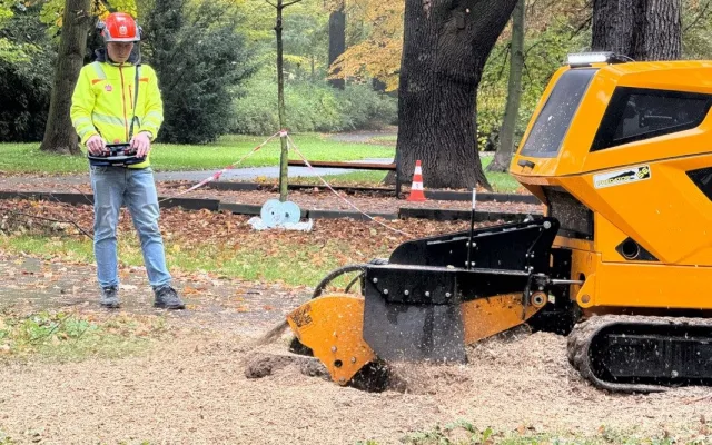 V Bohumíně kácí stromy, úprava stoletého parku Petra Bezruče je v nejhlučnější fázi