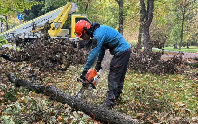 V Bohumíně kácí stromy, úprava stoletého parku Petra Bezruče je v nejhlučnější fázi