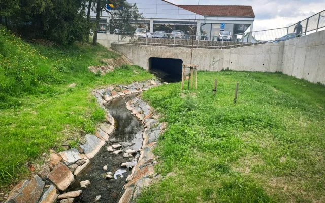 Lesy ČR v Moravskoslezském kraji obnovily koryta Frýdlantské Ondřejnice a Čermné