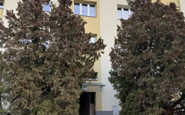 Hasiči z hořícího bytu zachraňovali 3 lidi, 2 psy a 4 kočky. Evakuovali také 20 osob