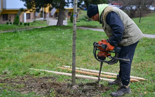 Milan Haluska