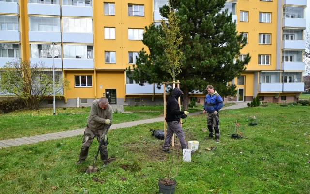 Milan Haluska