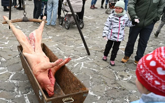 FOTO: Masopust na hradě. Nechyběla ani nefalšovaná zabíjačka