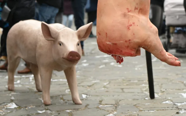 FOTO: Masopust na hradě. Nechyběla ani nefalšovaná zabíjačka