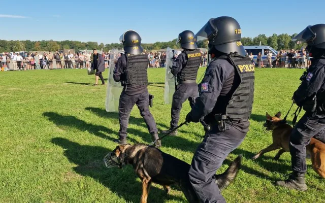 Vyčmuchají drogy i zloděje. Policejní psi se svými psovody měli loni přes 1700 zásahů